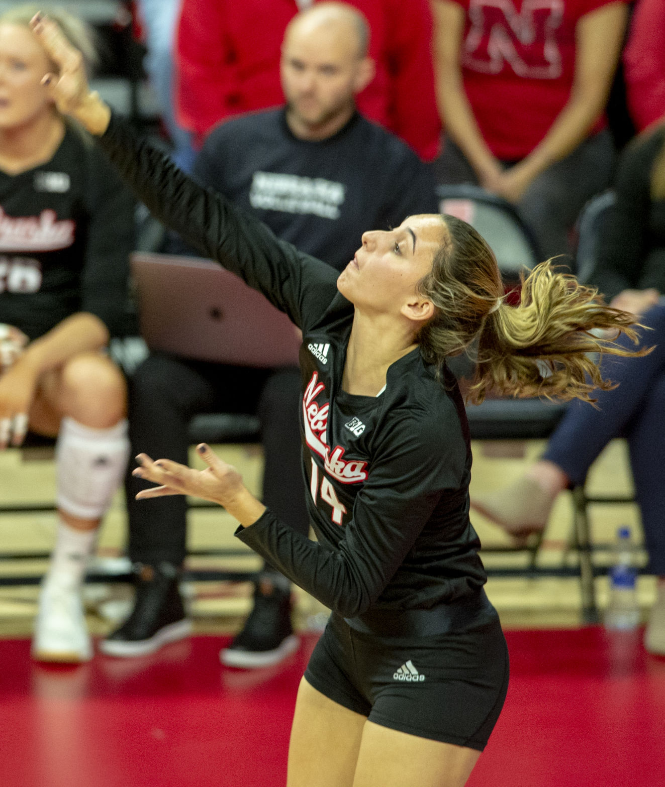 NU volleyball, 11.1